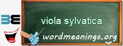 WordMeaning blackboard for viola sylvatica